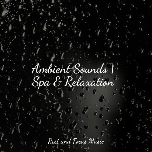 Ambient Sounds | Spa & Relaxation