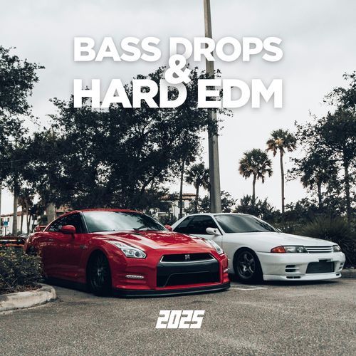 Bass Drops & Hard EDM 2025