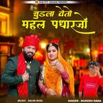 Chudla Veto Mehal Padharjo