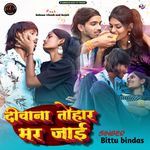 Deewana Tohar Mar Jaai