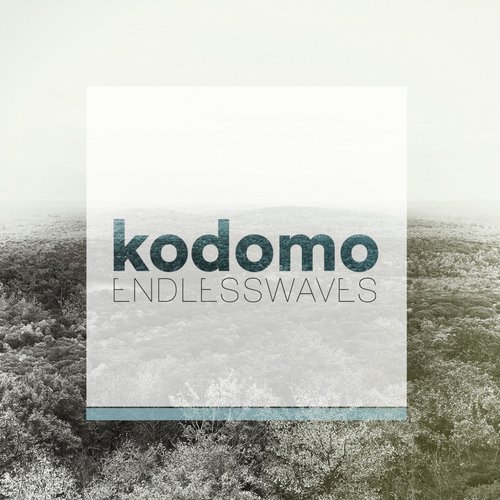 Endless Waves (Kodacrome Remix) cover art