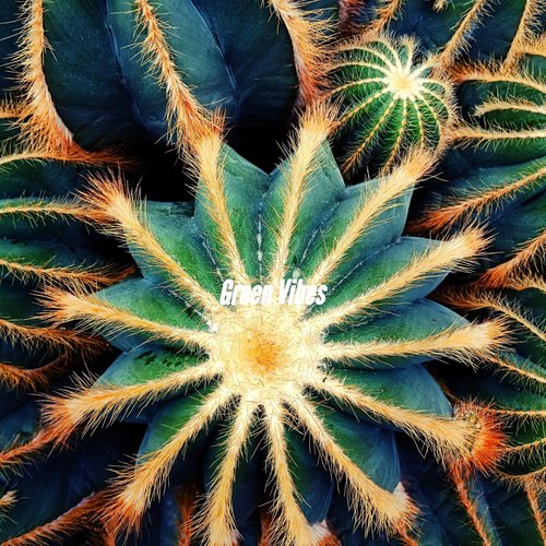 Vibrant Music for Choosing Clarity