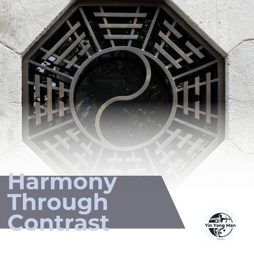 Harmony Through Contrast_poster_image