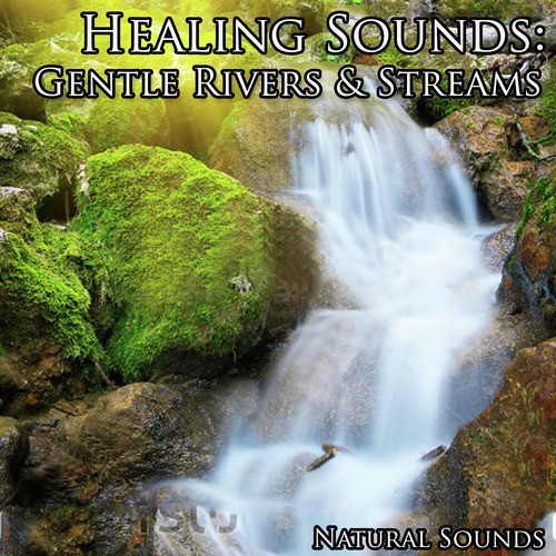 Healing Sounds: Gentle Rivers & Streams