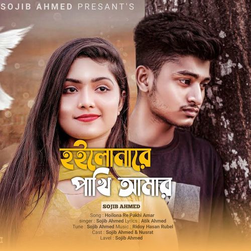 Hoilo Nare Pakhi Amar