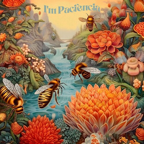 I´m Paciència_poster_image