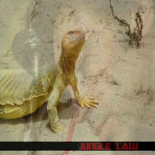 Jungle Law EP
