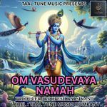 OM VASUDEVAYA NAMAH