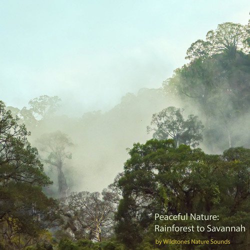 Peaceful Nature: Rainforest to Savannah_poster_image