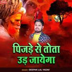 Pijade Se Tota Ud Jayega
