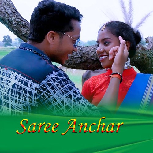 Saree Anchar