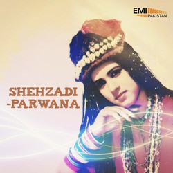 Shehzadi - Parwana