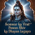 Somwar ka vrat pawan shiv ka dhayan lagayo artwork