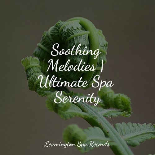 Soothing Melodies | Ultimate Spa Serenity