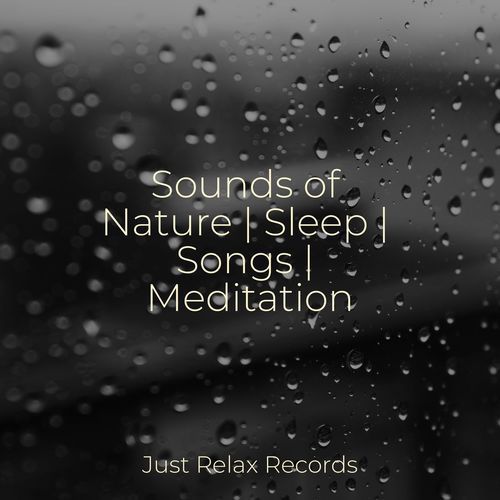 Sounds of Nature | Sleep | Songs | Meditation