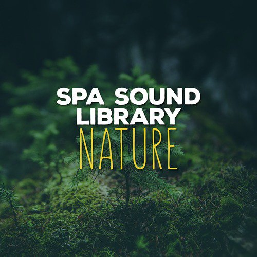 Water Source cover art