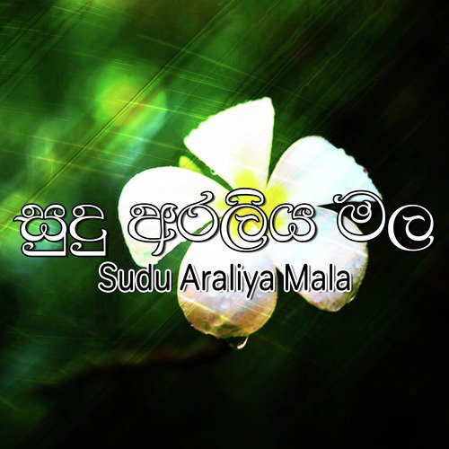 Sudu Araliya Mala