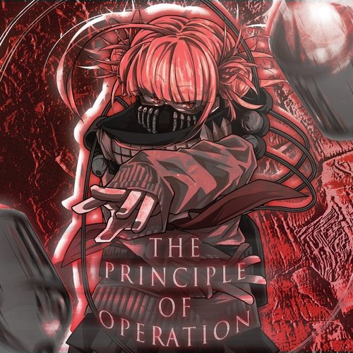 THE PRINCIPLE OF OPERATION_poster_image