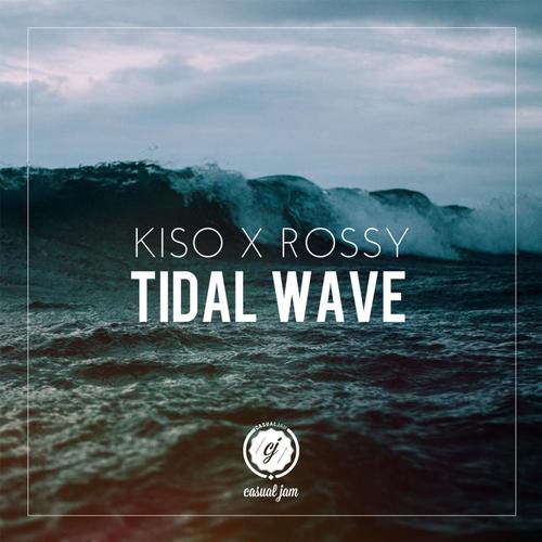 tidal-wave-song-download-from-tidal-wave-jiosaavn