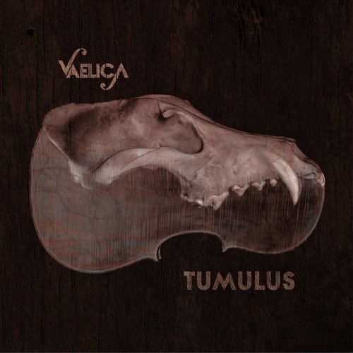 Bandua cover art