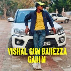 Vishal gum barezza gadi m