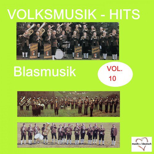 Volksmusik-Hits: Blasmusik, Vol. 10