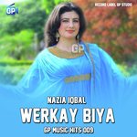 Werkay Biya Gp Music Hits 009