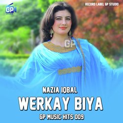 Werkay Biya Gp Music Hits 009