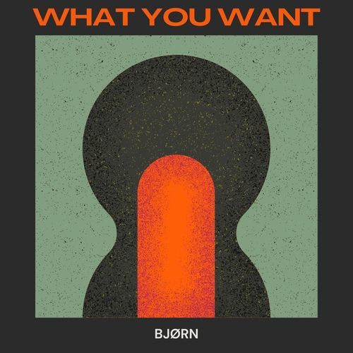 What You Want_poster_image