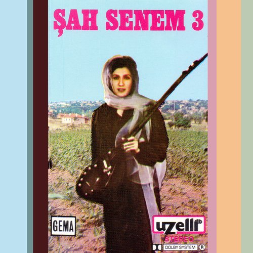 Devrim cover art