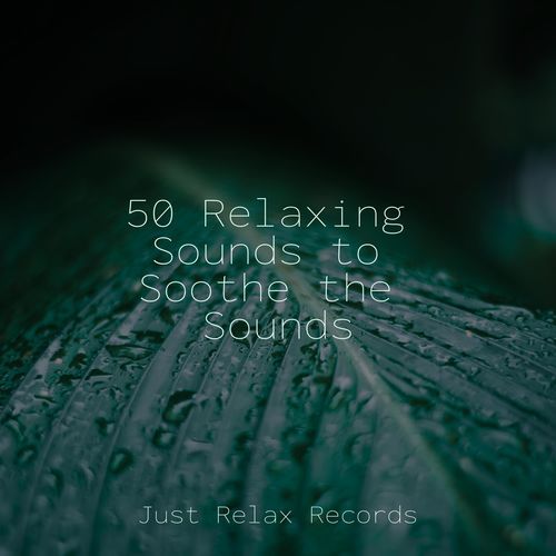 50 Relaxing Sounds to Soothe the Sounds