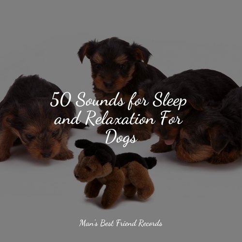 50 Sounds for Sleep and Relaxation For Dogs_poster_image