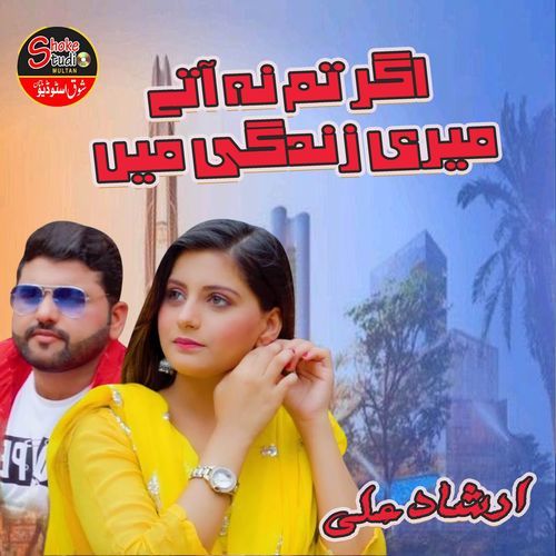 Agr Tum Na Aate Meri Zindagi Mein