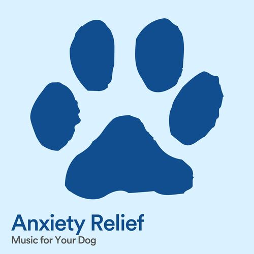 Anxiety Relief Music for Your Dog