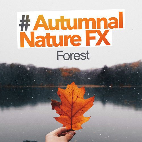 # Autumnal Nature FX