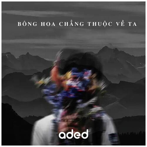 Bông Hoa Chẳng Thuộc Về Ta Lofi Version