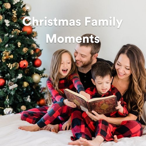 Christmas Family Moments_poster_image