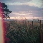 Daydream Radio