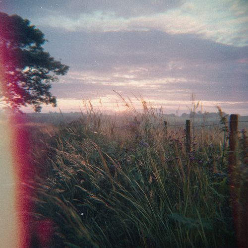 Daydream Radio