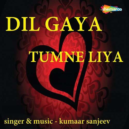 Dil Gaya Tumne Liya