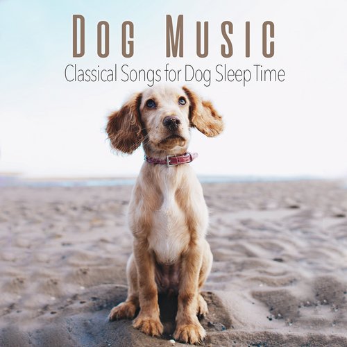 Dog Music: Classical Songs for Dog Sleep Time_poster_image