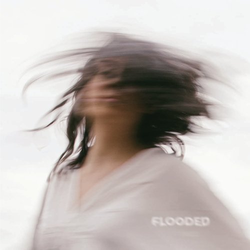 Flooded_poster_image