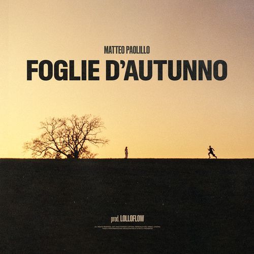 Foglie D'Autunno_poster_image