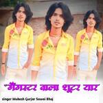 Gangester Wala Shuter Yar