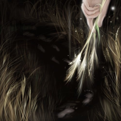 Lucid Dream