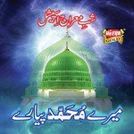 Mairaaj Un Nabi