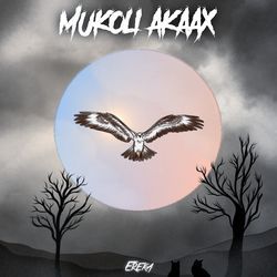 Mukoli Akaax-FC5THEVIW10