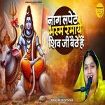 Naag Lapete Bhasm Ramaye Shiv Ji Baithe Hai