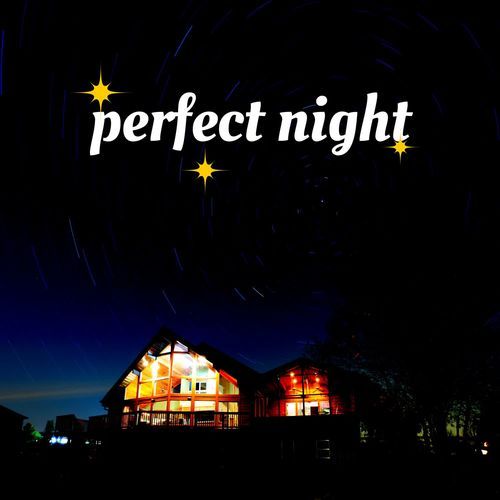 Perfect Night