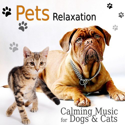 Pets Relaxation – Calming Music for Dogs & Cats, Gentle and Relaxing Songs to Calm Down Your Animal Companion